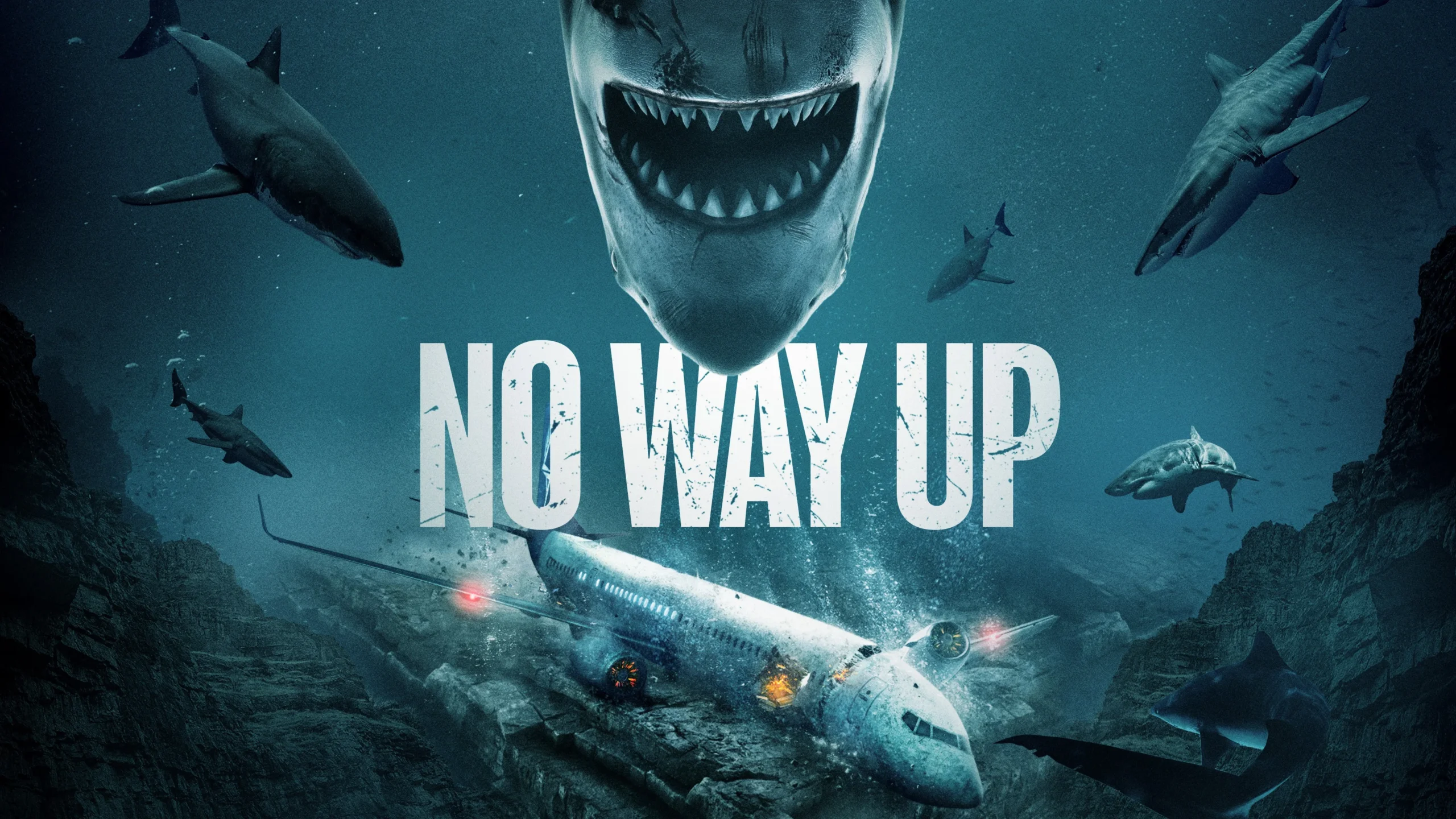 فیلم No Way Up